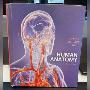 MARTINI
TALLITSCH
NATH
HUMAN ANATOMY
NINTH EDITION